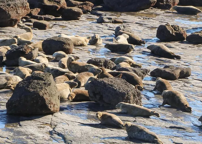 Prázdninový dům Seafarers Scarborough